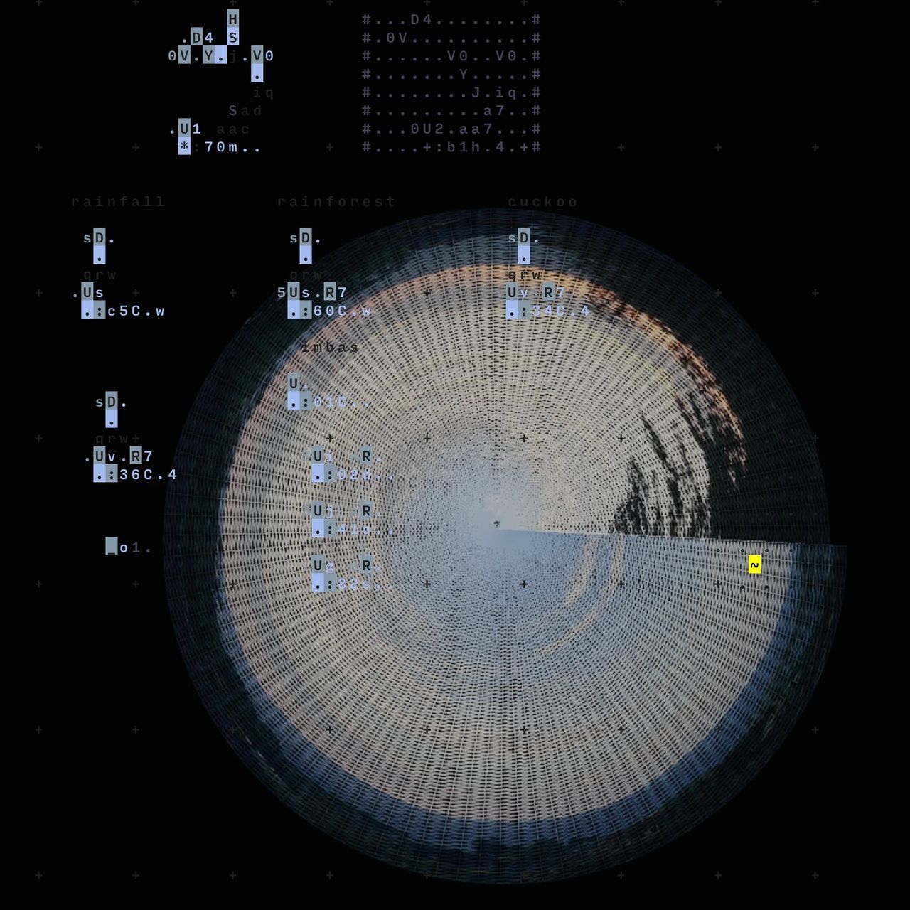 Computational Dialogues (CODI) Journal cover image with code
